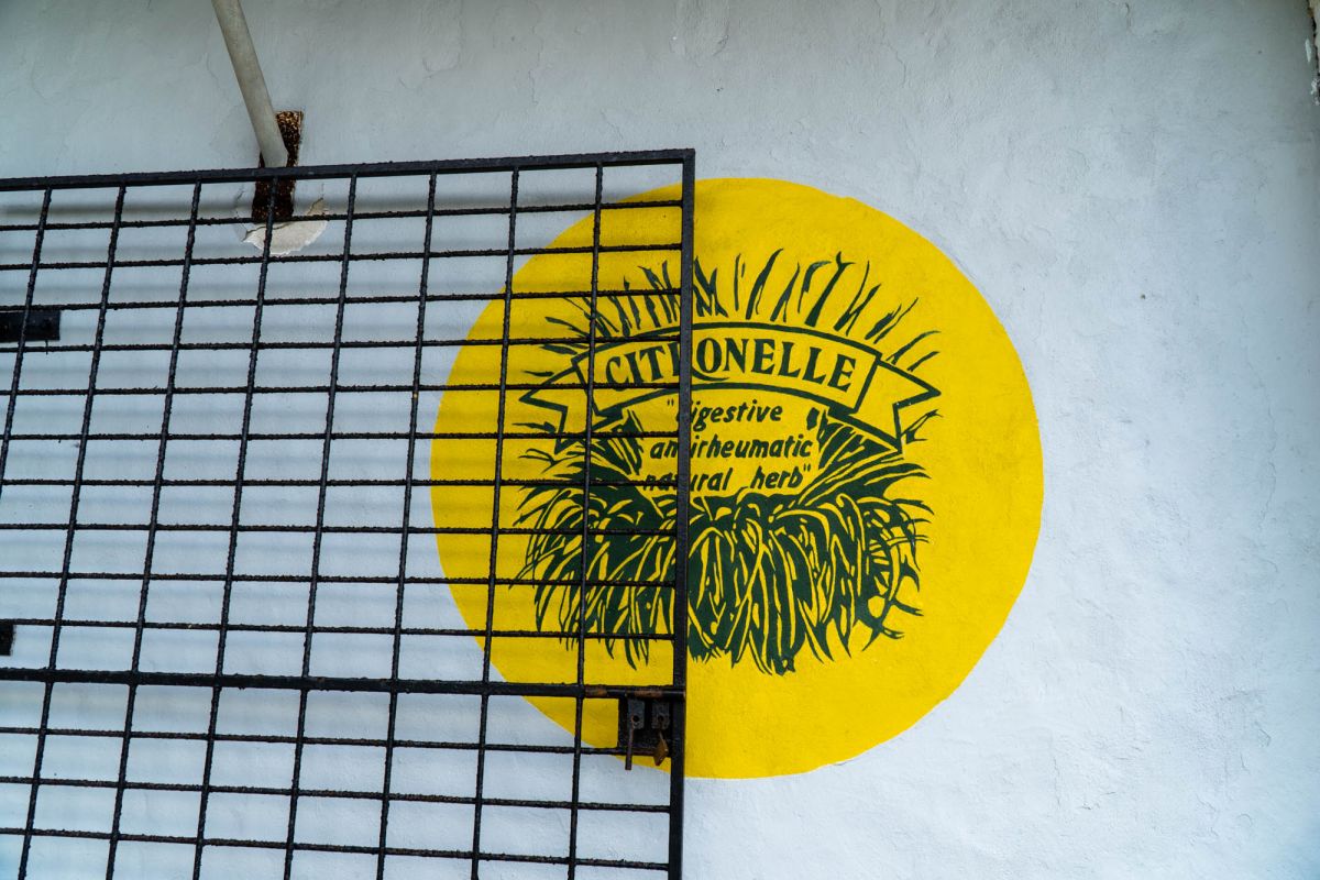 Чайная фабрика