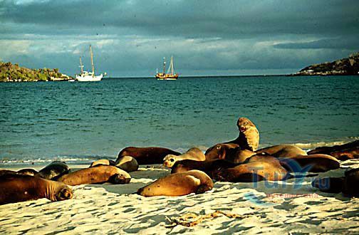 Залив Гарднер Бей (Gardner Bay)