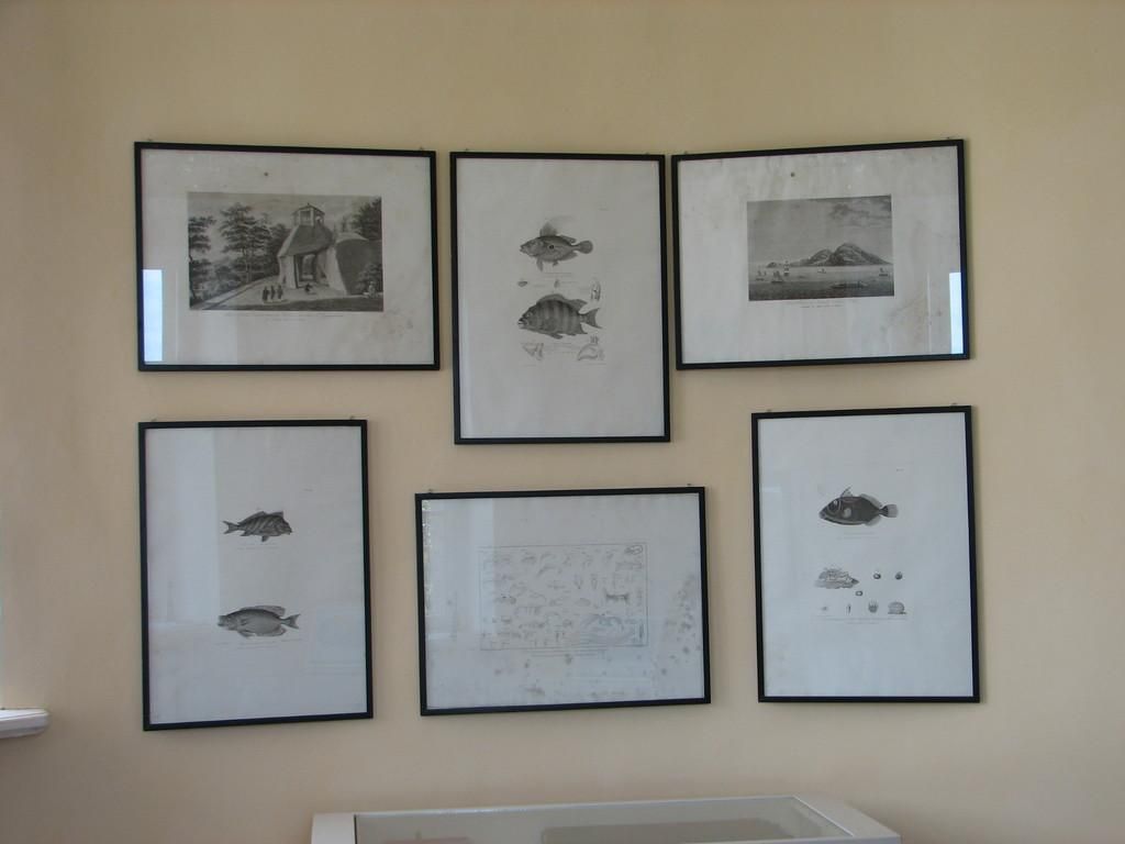 Мемориальная комната А. И. фон Крузенштерна