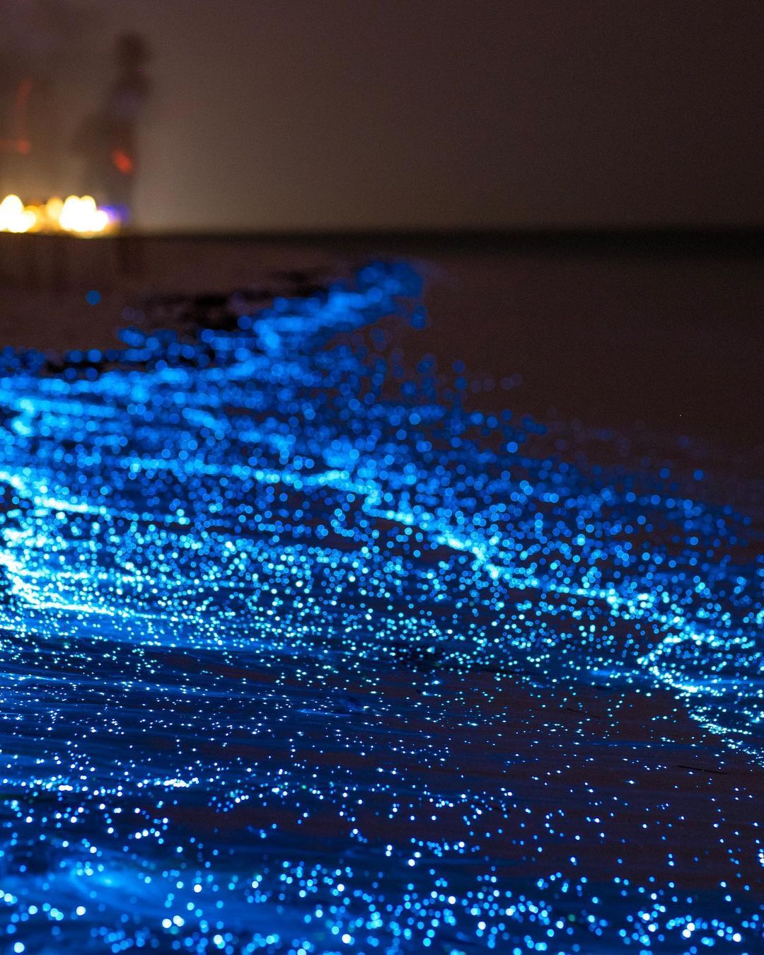 Море звёзд на солнечной стороне жизни