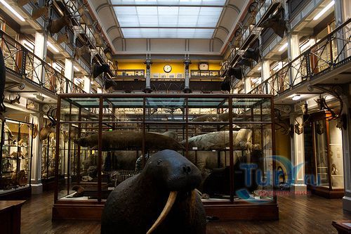 Музей Истории Естествознания