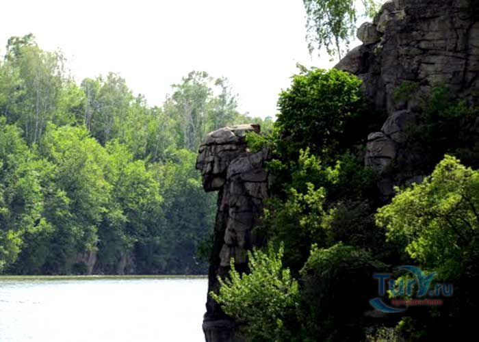 Голова Чацкого