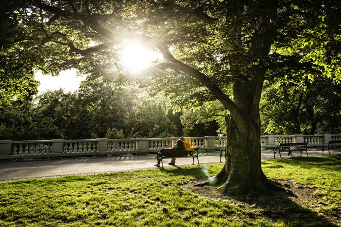 Винограды и Вршовице: La dolce vita