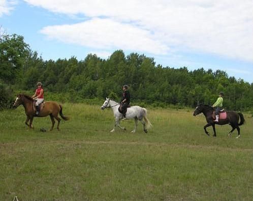 Хутор конного туризма Reinu ratsatalu