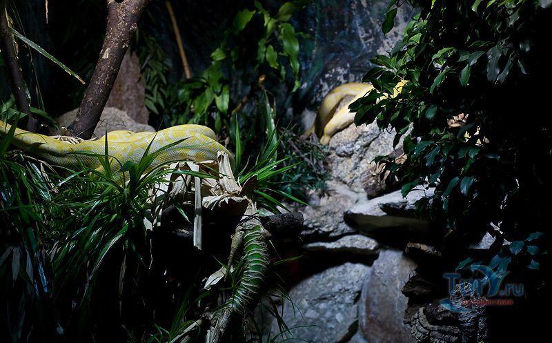 Дом Моря в Вене