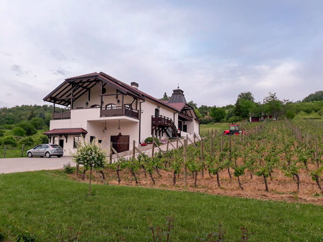 Винодельня «Веритас»