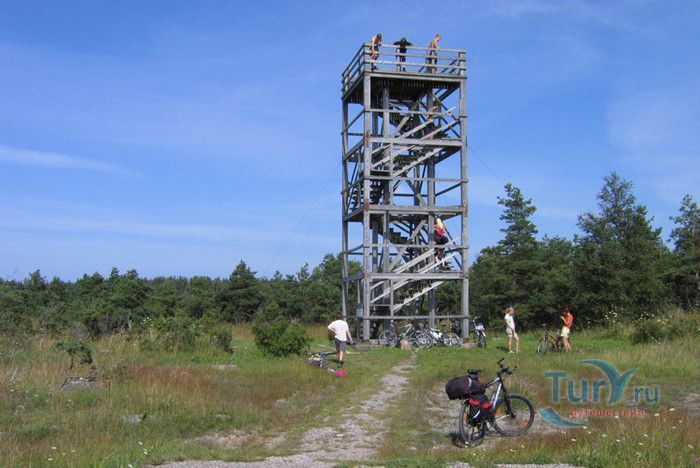 Природный Заповедник Вийдумяэ (Вийдумяэский заповедник)