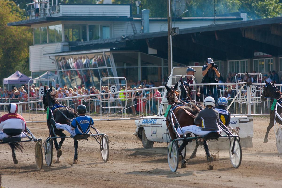 Таллиннский ипподром