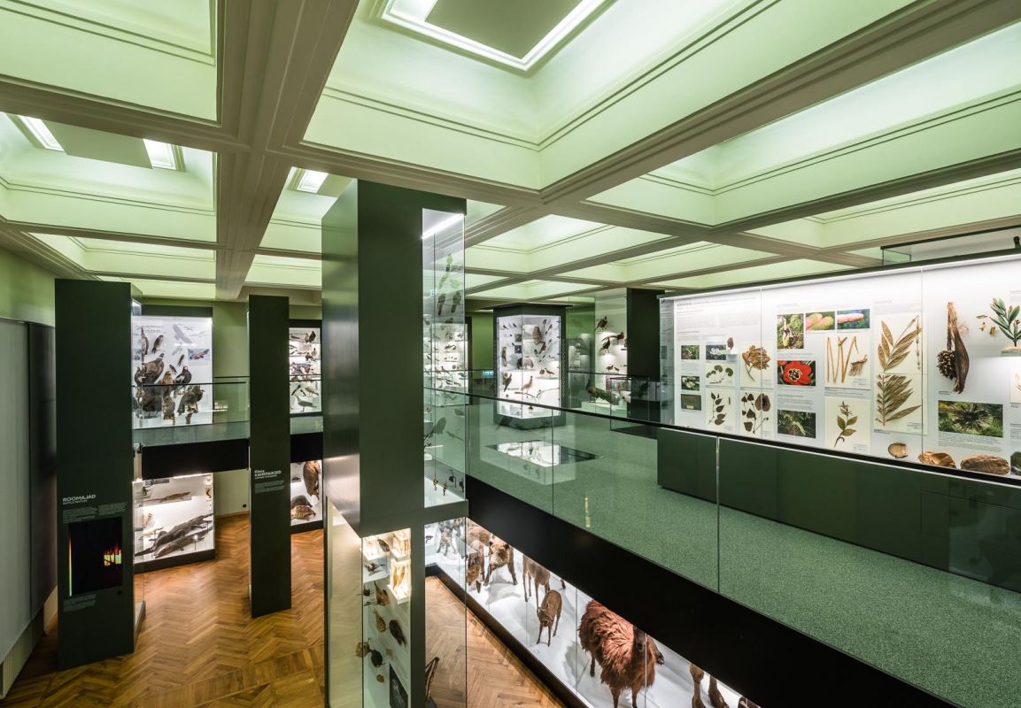 Музей естественной истории Тартуского университета