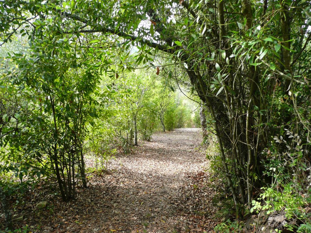 Природный заповедник Паул-ди-Арзила