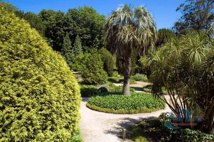 Национальный Дворец Пена