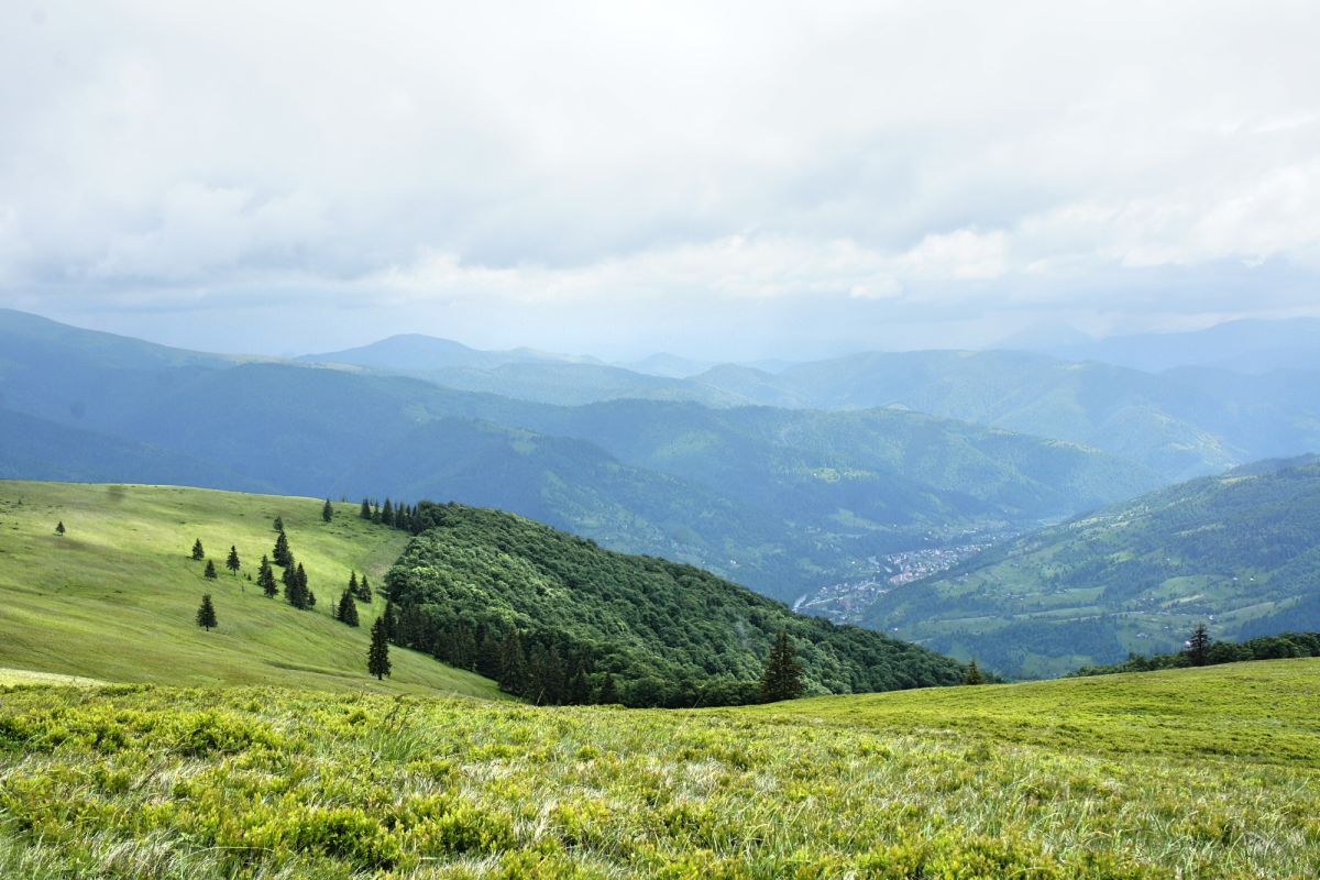 Карпатский Биосферный Заповедник