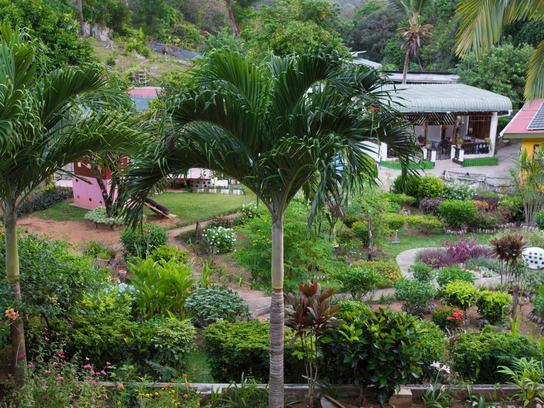 Evergreen Apartments