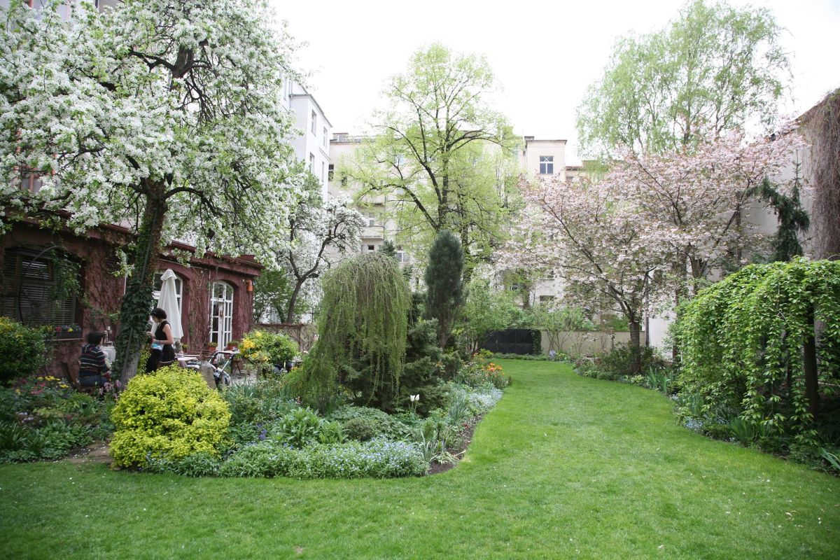 Галерея Scarabeus