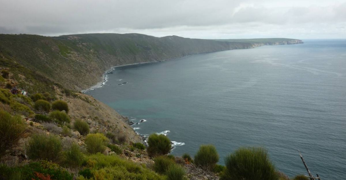 Заповедник Кейп Торренс
