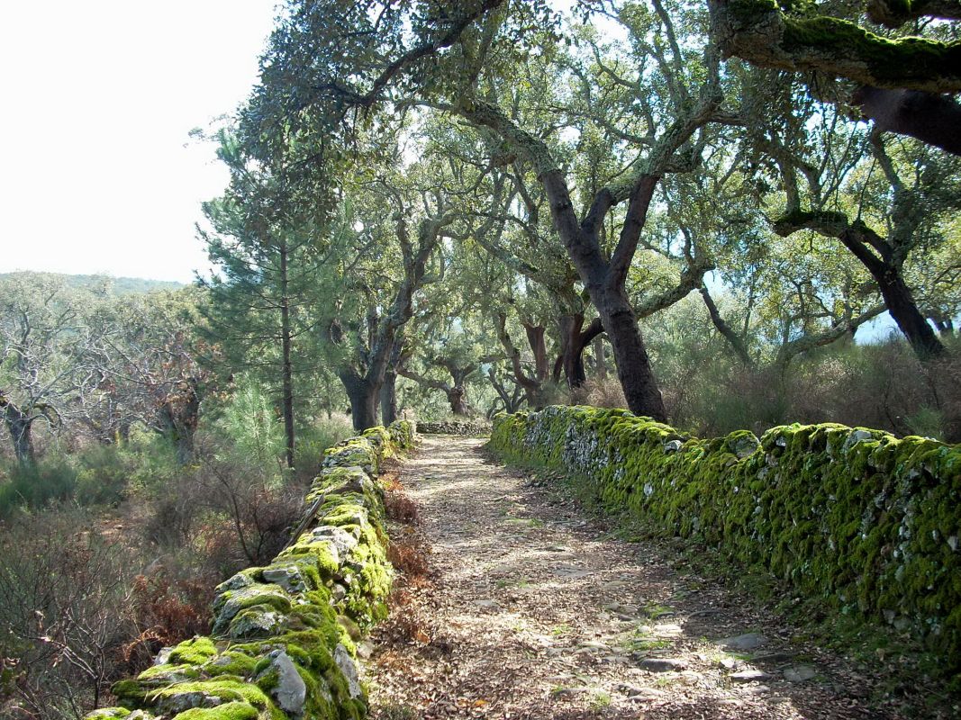 Природный парк Сан-Мамеди