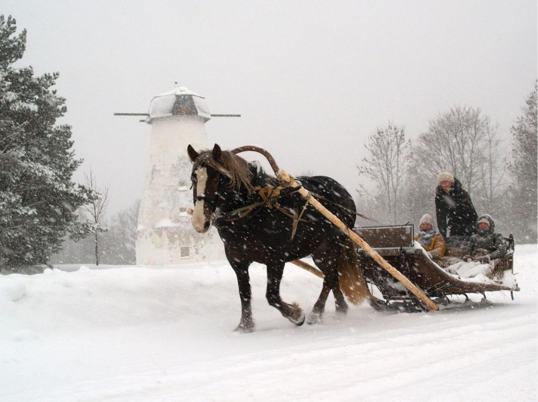 Центр верховой езды Maria