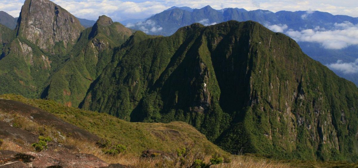 Влажные тропические леса Ацинананы