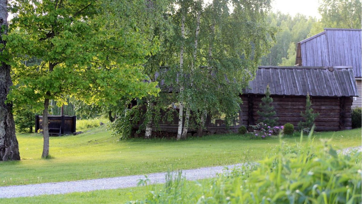 Туристический хутор Pedaja: баня по-черному, бочка для купания и автобаня