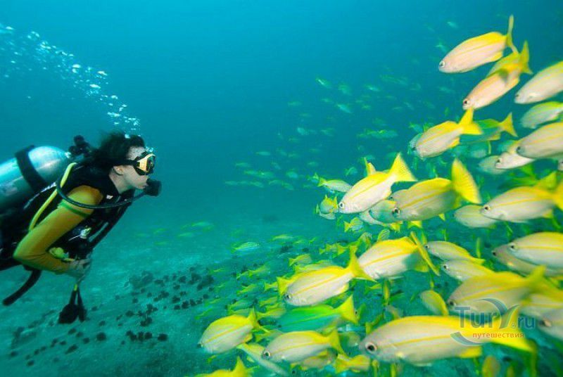Морской национальный парк Сент-Анн