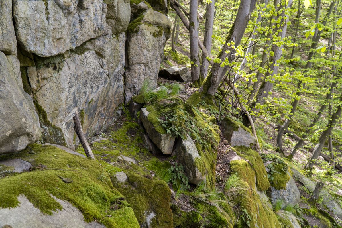 Пешеходный маршрут по южной стороне Тетерева