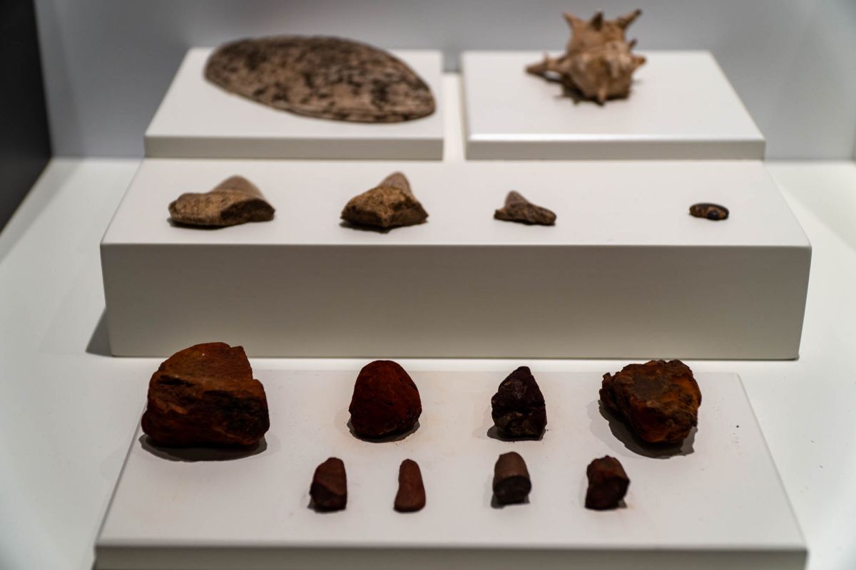 Музей доисторической эпохи Валенсии