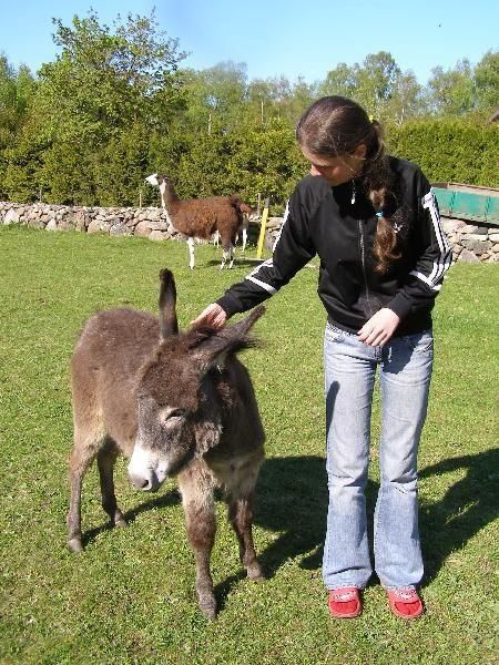 Открытый хутор Капа