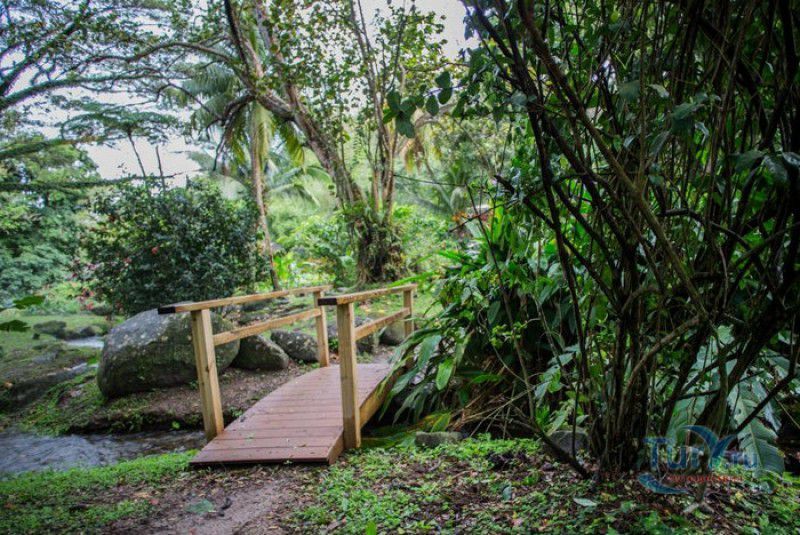 Плантация Абитасьон Серон