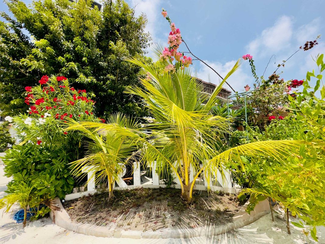 Triton Indian Restaurant