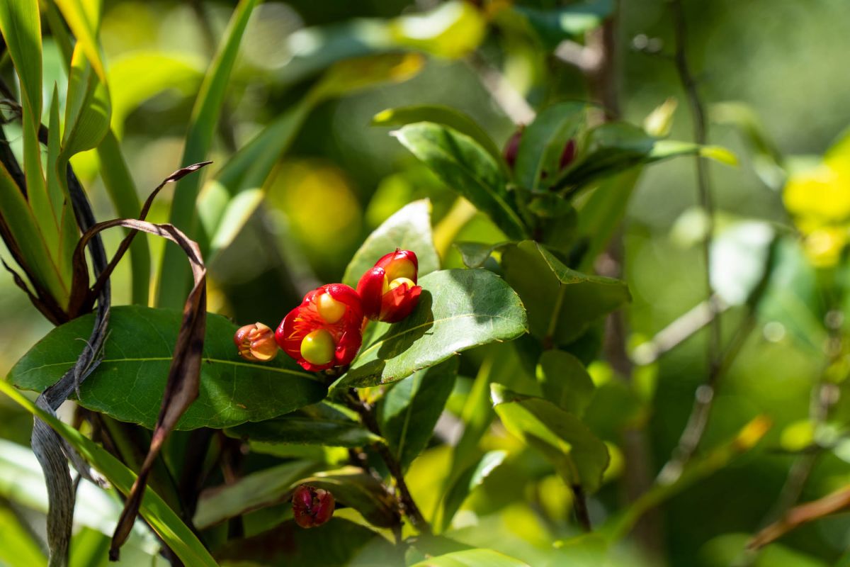 Гласис Ла Резерв Трейл