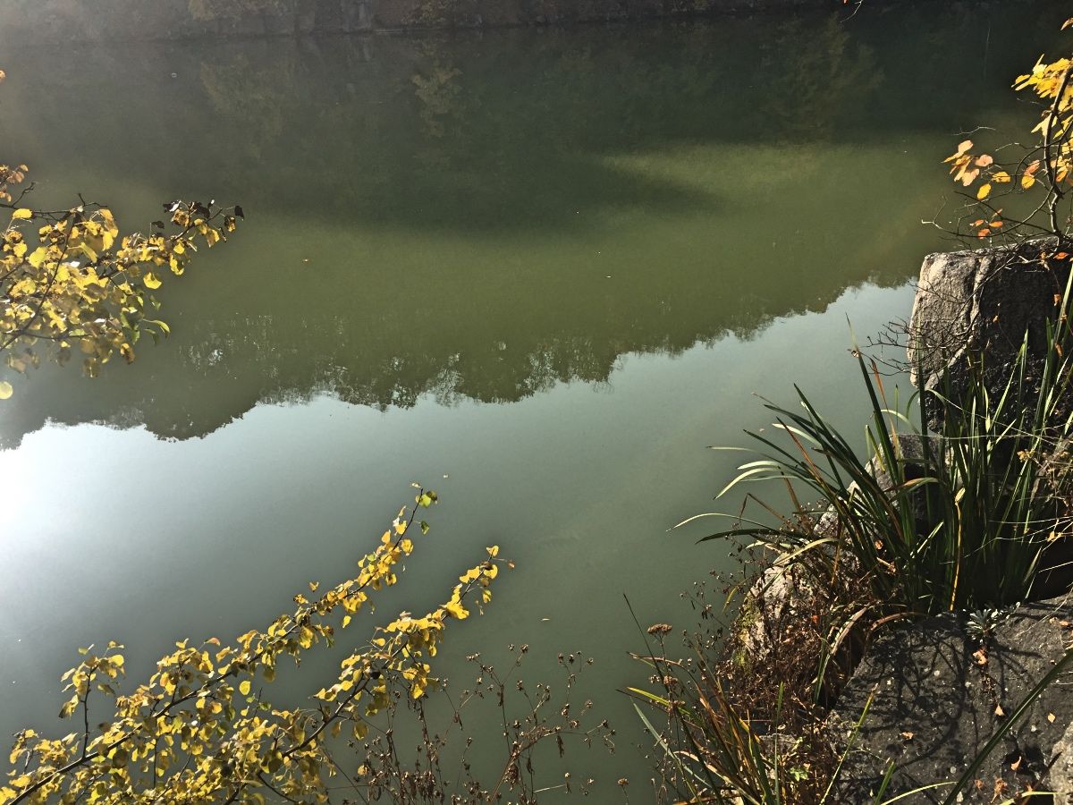 Река Тетерев