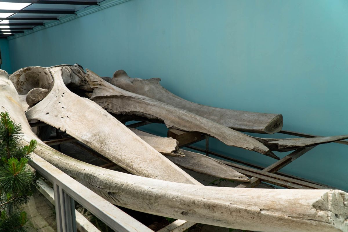 Государственный Музей Аджарии имени Харитона Ахвледиани