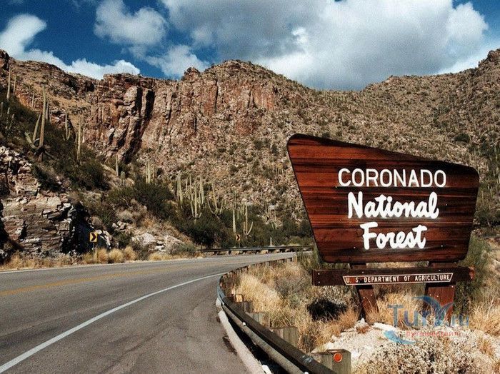 Национальный Лесной Заповедник Коронадо 