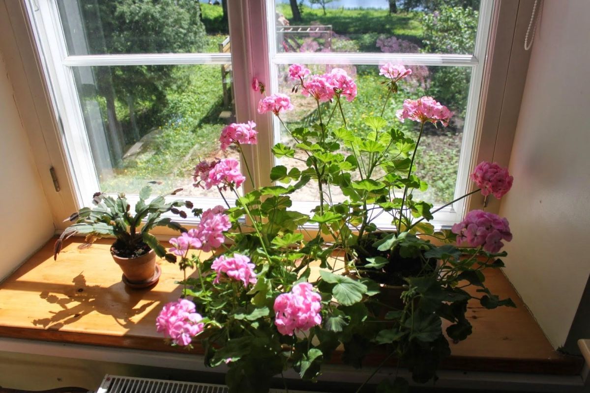 Усадьба Рогози в Руусмяэ