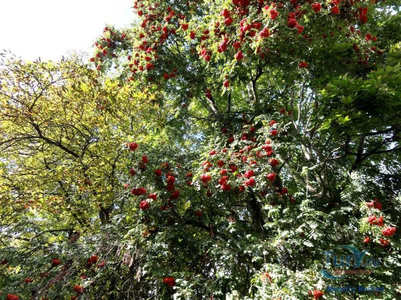 Магистрат XVIII века на Замковой горе в Житомире