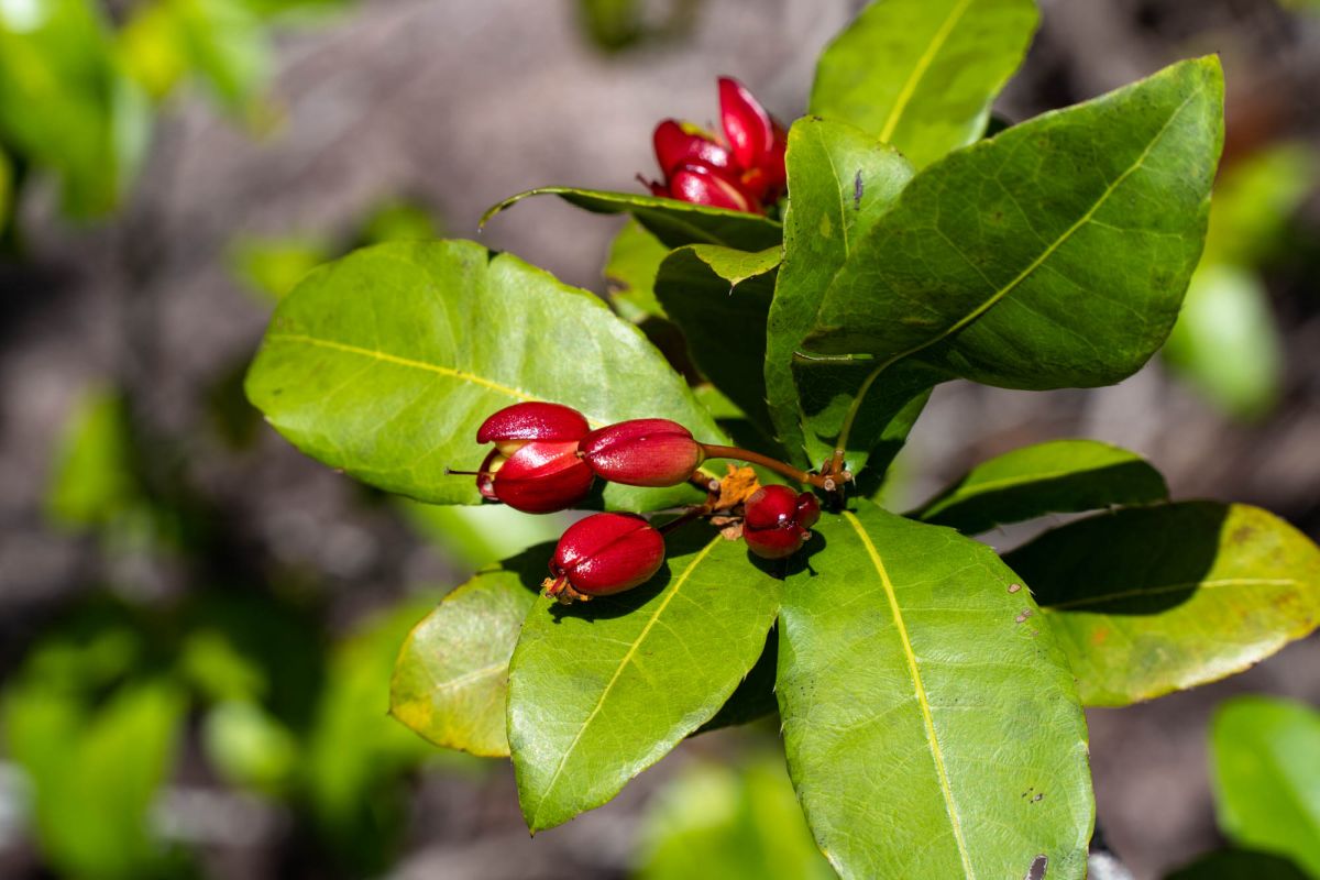 Гласис Ла Резерв Трейл