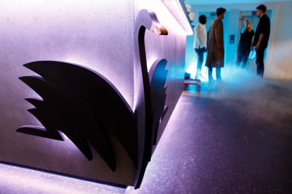 «Черный лебедь»