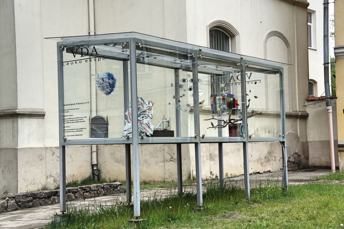 Вильнюсская художественная академия