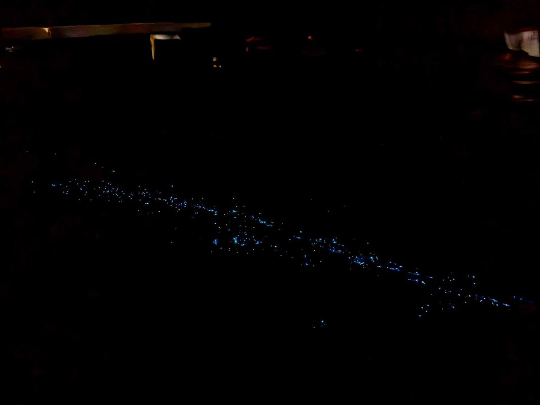 Маафуши Планктон Бич