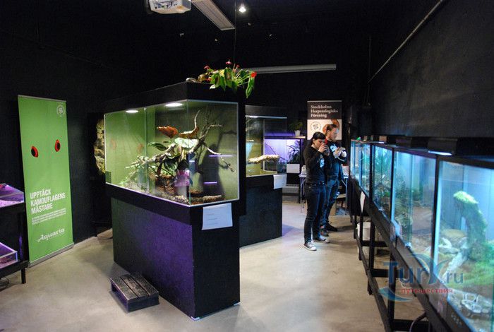 Музей Воды Аквариа