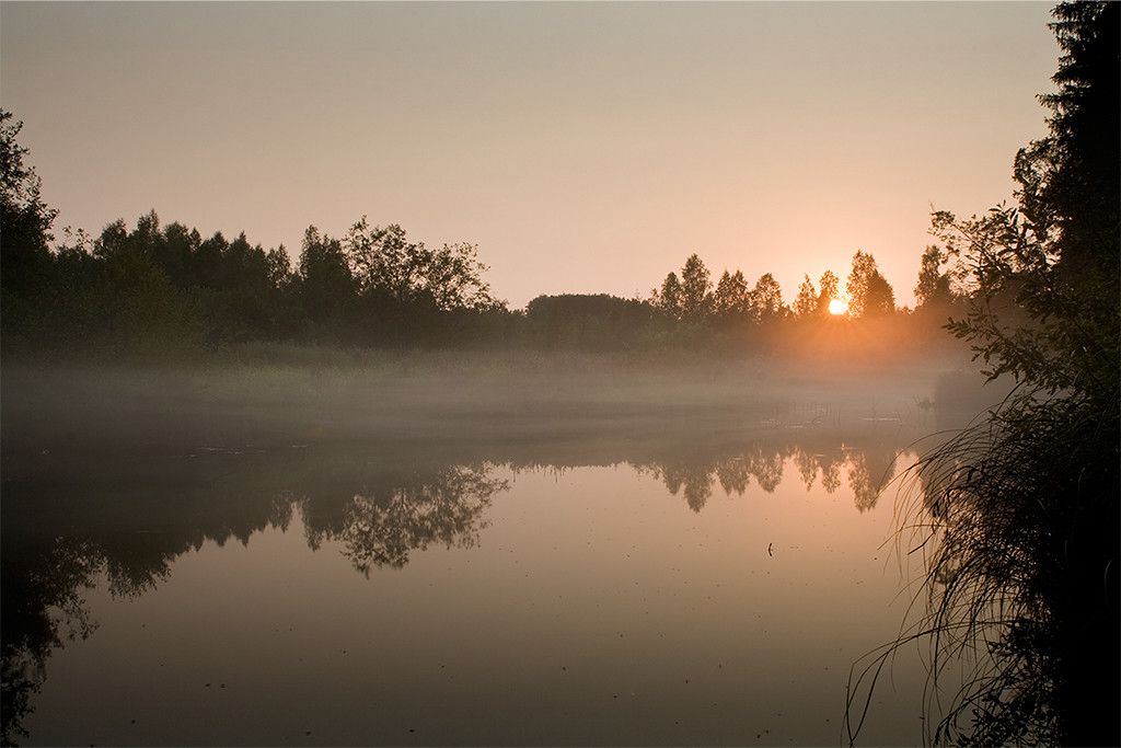 Оздоровительная площадка хутора Киви