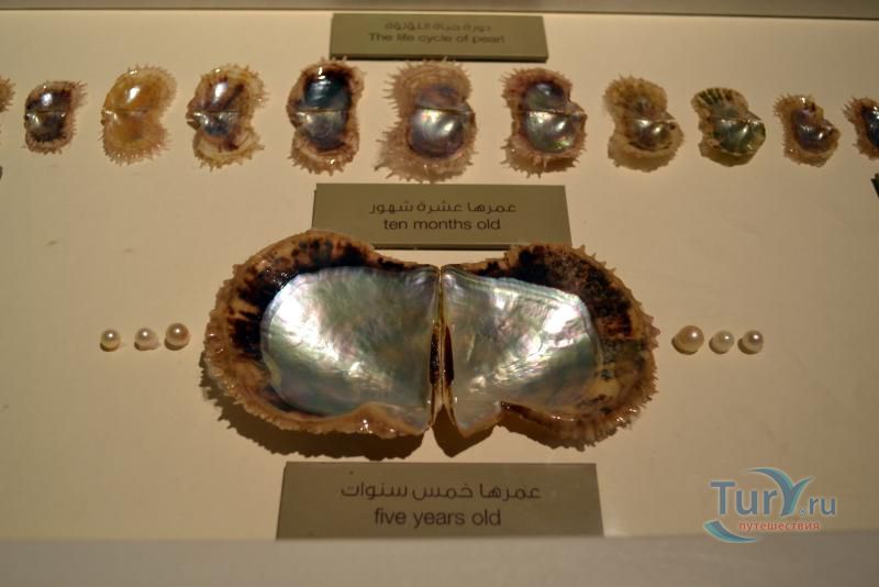 Морской музей Шарджи