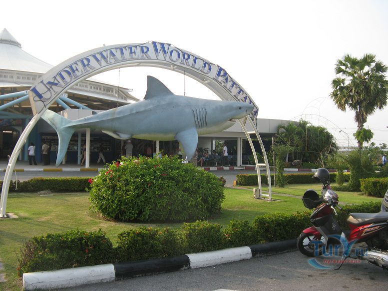 Океанариум Подводный мир Сиамского залива