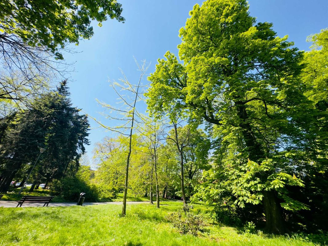 Парк Юлиуша Словацкого