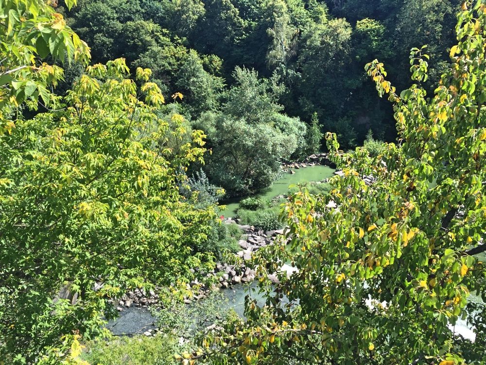 Река Тетерев