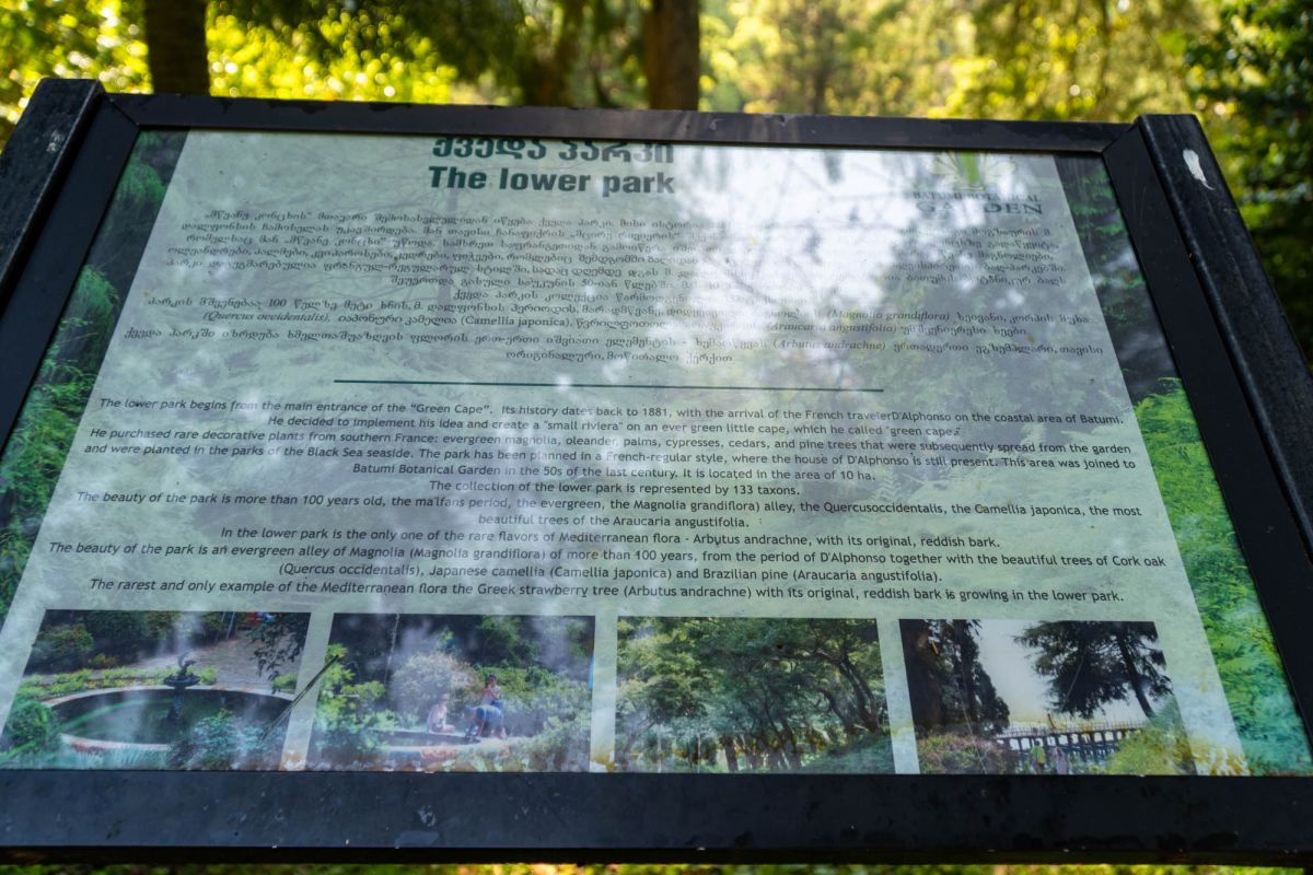 Батумский ботанический сад