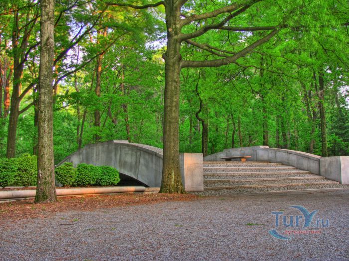 Остров Теодора Рузвельта