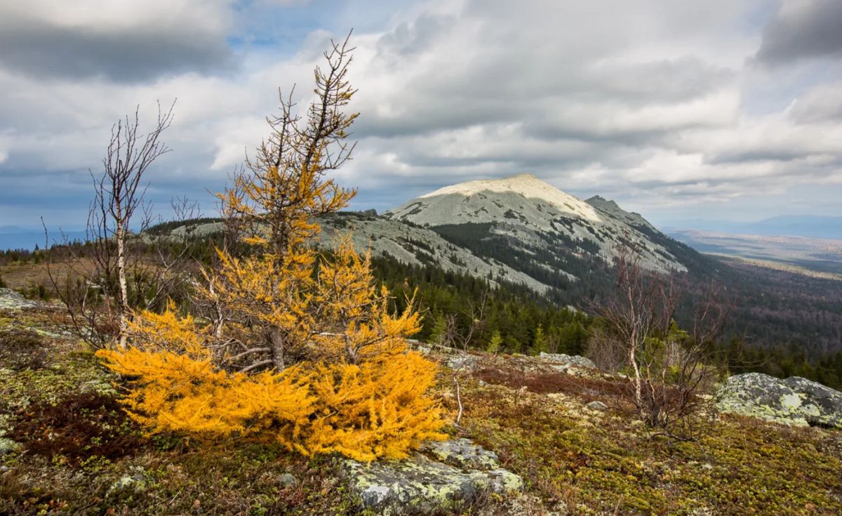 Гора Большой Шелом