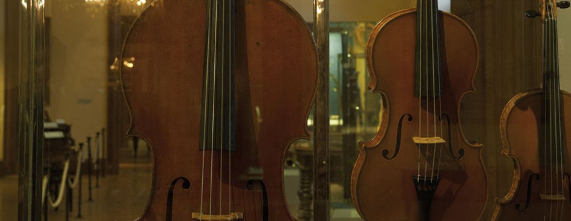 Коллекции Художественно-Исторического Музея в Новом Замке (Нойе Бург)