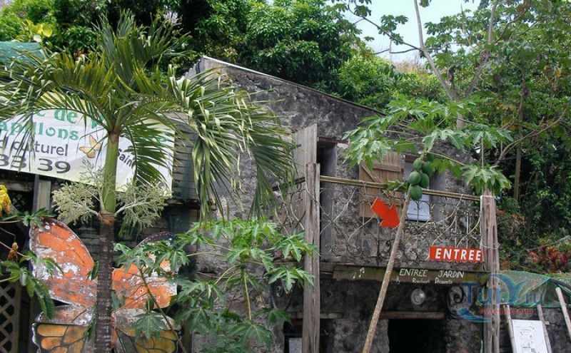 Сад Бабочек Мартиника